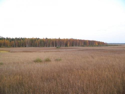Weite Seenlandschaft (100_0952.JPG) wird geladen. Eindrucksvolle Fotos aus Lettland erwarten Sie.